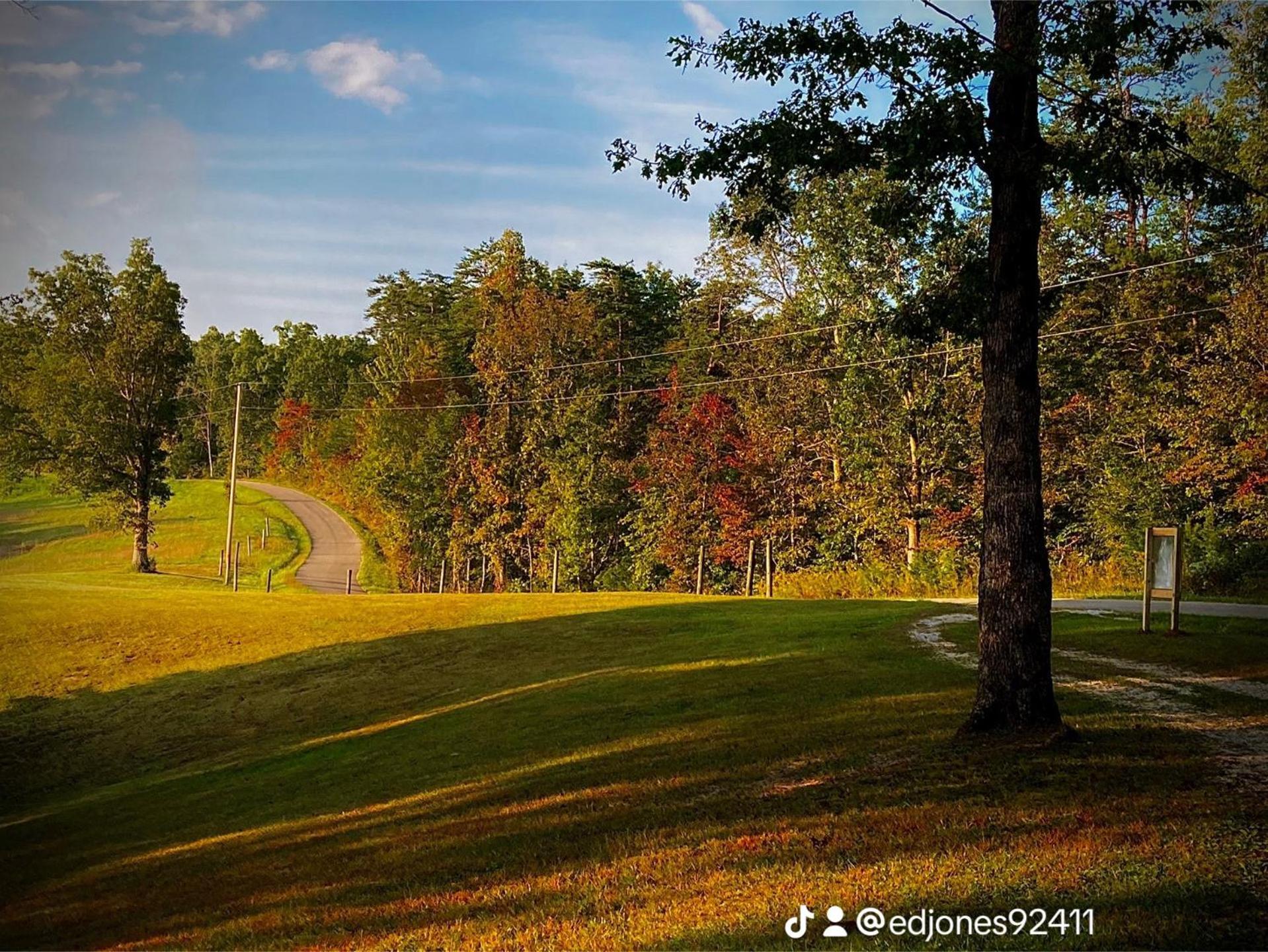 The Willow, Secluded And Cozy Country Cabin Ravenna المظهر الخارجي الصورة
