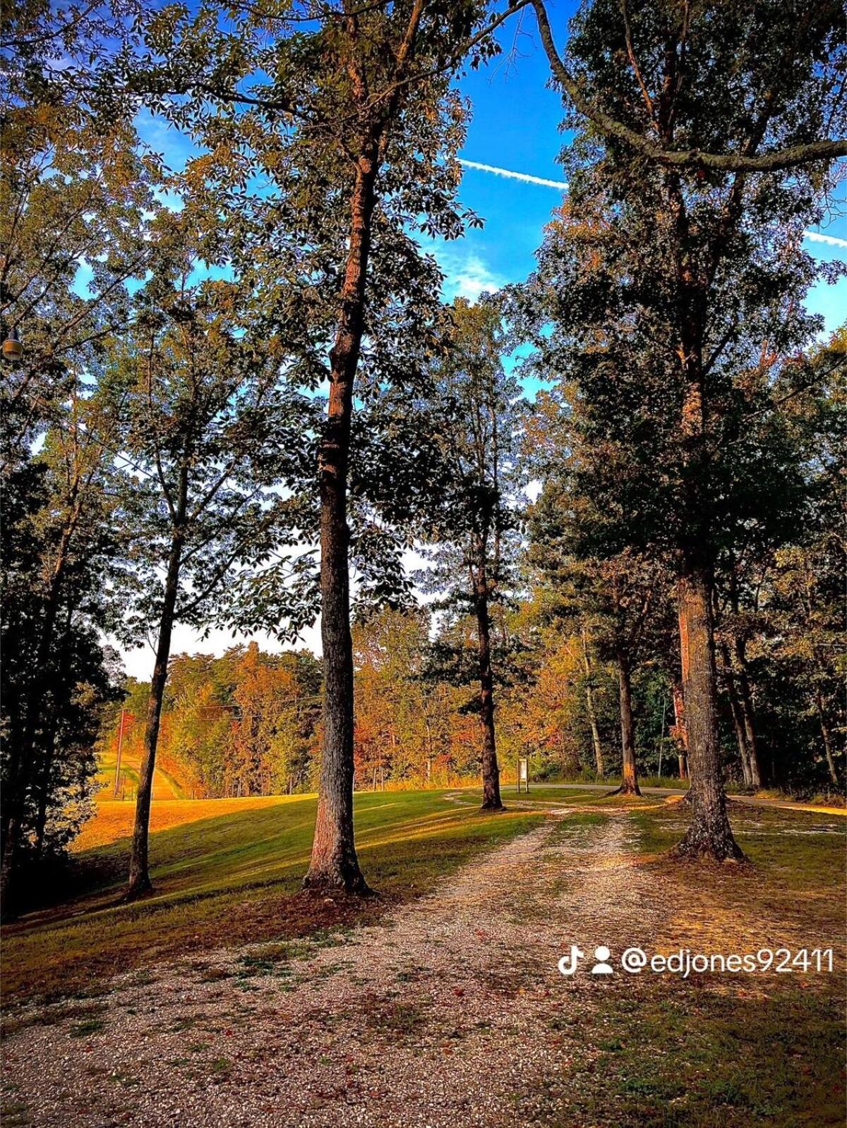 The Willow, Secluded And Cozy Country Cabin Ravenna المظهر الخارجي الصورة